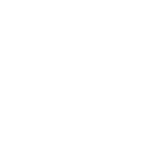 Noctæra® logo – baroque minimalist design on transparent background